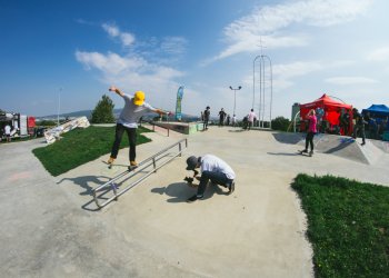 _DSC0337